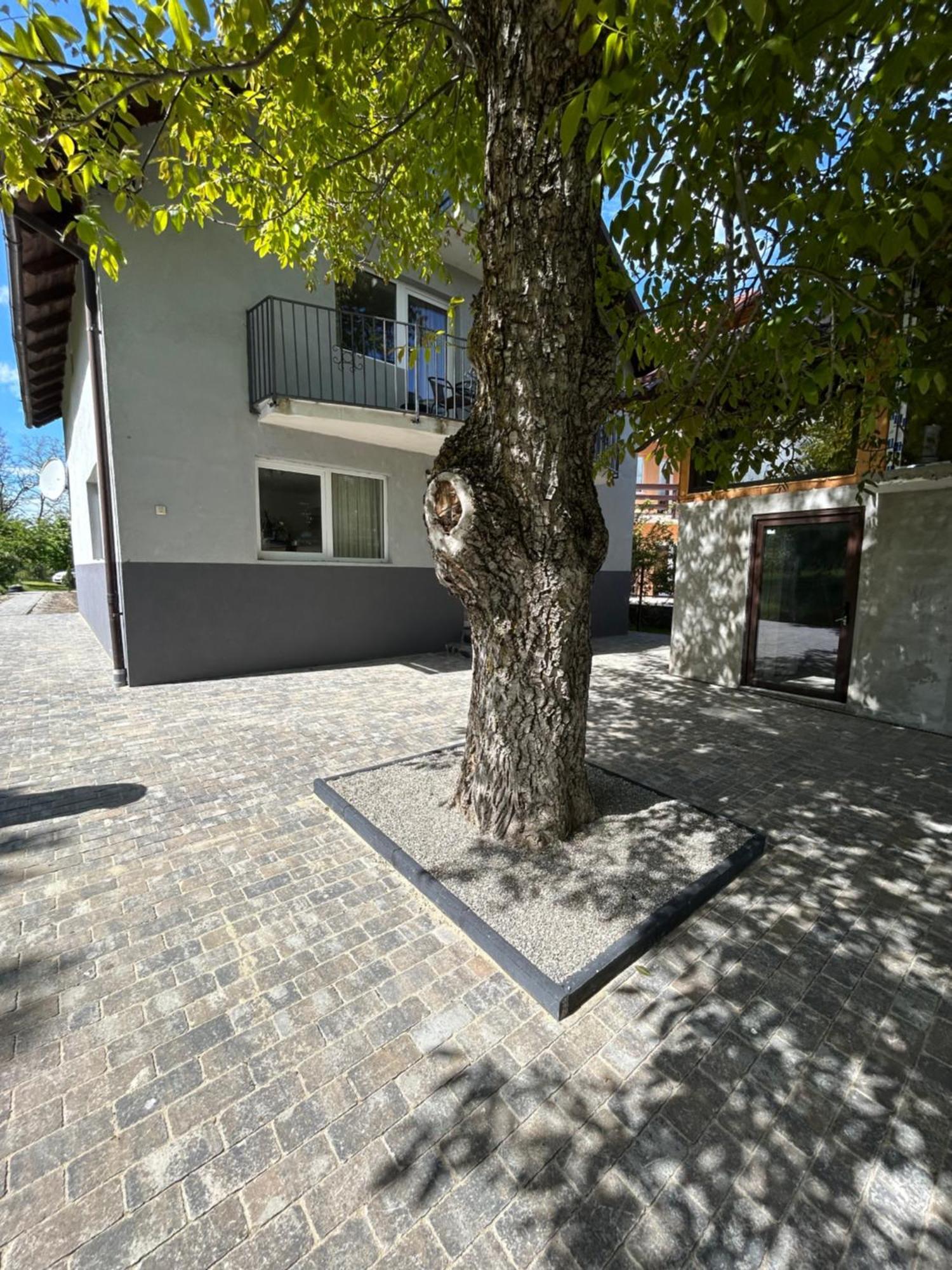 Casa Luca Ama Bran Villa Бран Екстериор снимка