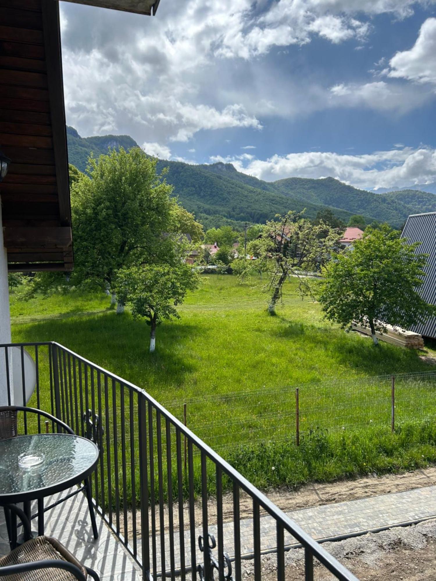 Casa Luca Ama Bran Villa Бран Екстериор снимка
