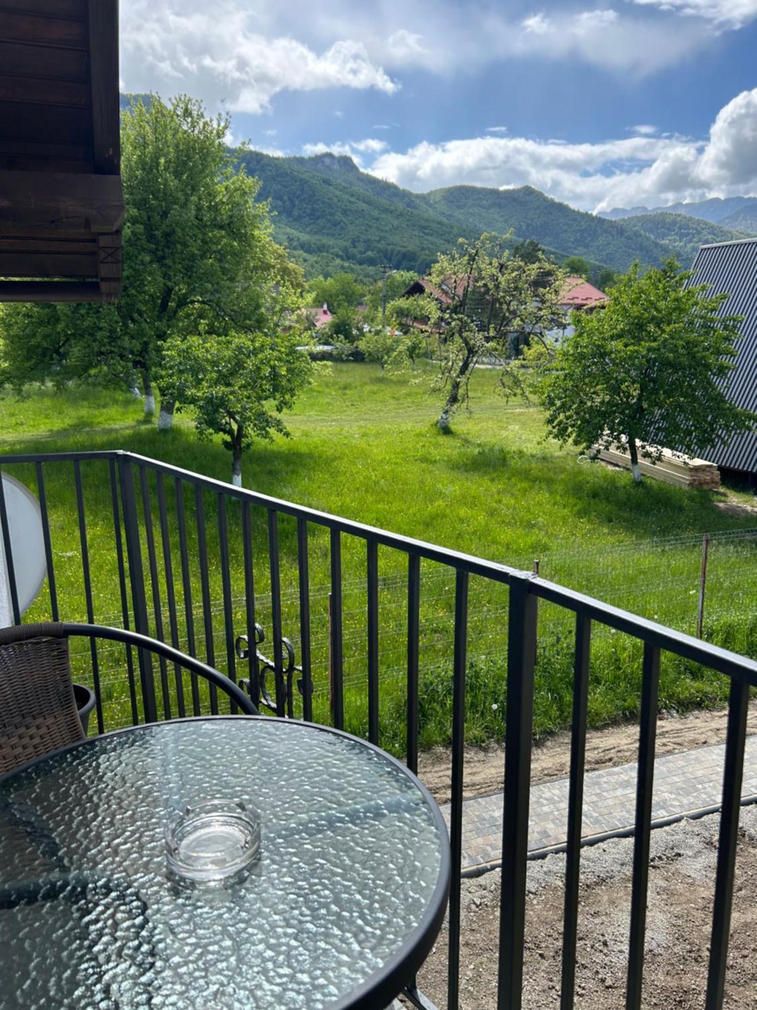 Casa Luca Ama Bran Villa Бран Екстериор снимка